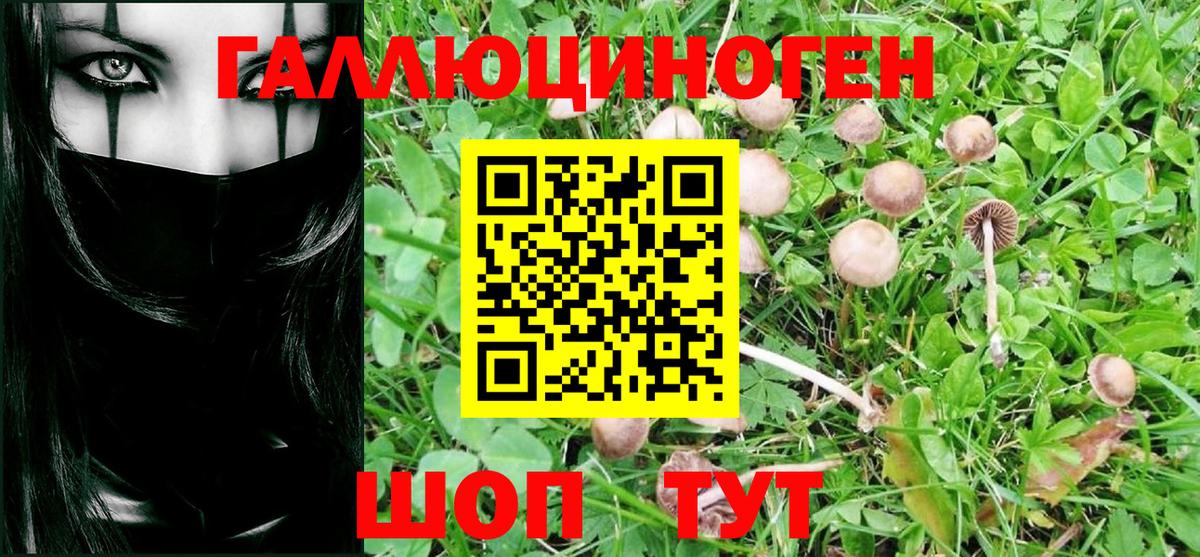 Псилоцибиновые грибы GOLDEN TEACHER Углич