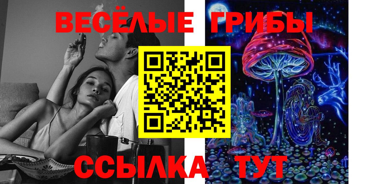 купить наркоту  Вход с VPN  Углич  Галлюциногенные грибы Magic Shrooms 