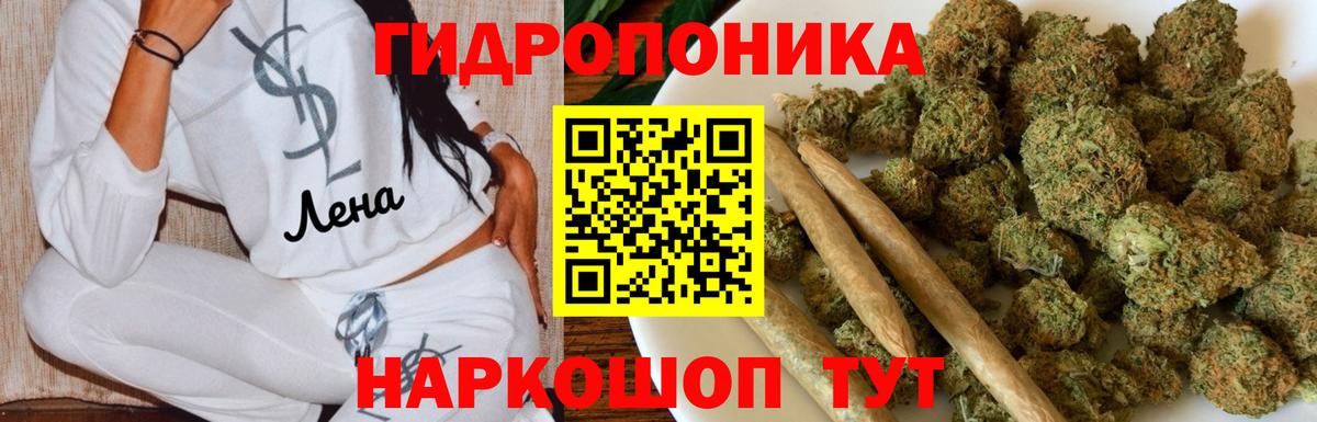 Бошки Шишки OG Kush Углич